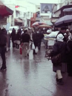 The Art of the Long Take: Analyzing Masterful Examples in International Cinema - Cover Image