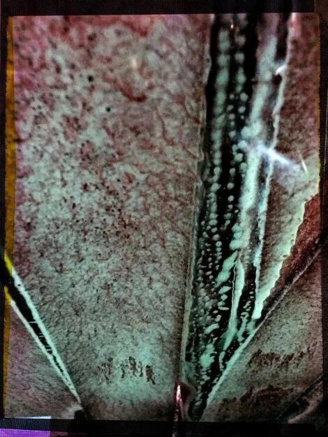 A close-up of a deteriorating film reel, showing scratches, discoloration, and signs of decomposition. This image represents the physical challenges of film preservation and the fight against degradation.
