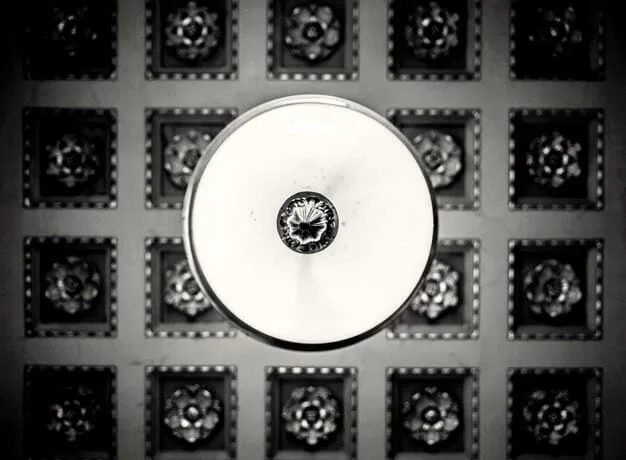 A close-up shot of a Criterion Collection Blu-ray disc featuring a classic international film, with the iconic