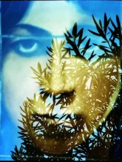 Cult Classic Renaissance: 3 Indie Films to Watch in 2025 - Cover Image