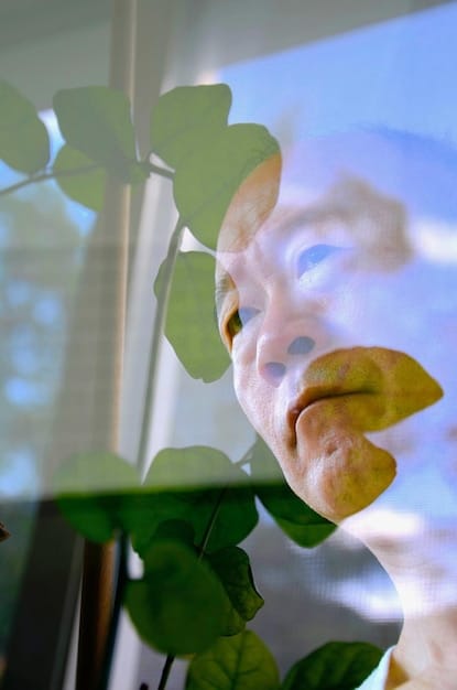 A still from a cult film known for its low-budget aesthetic and creative special effects, showcasing how resourcefulness and imagination can compensate for limited funding.
