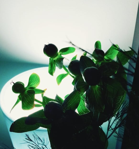 A still image from a low-budget indie film, showcasing a particularly striking visual or emotionally resonant scene. The lighting is natural and the composition is unconventional.