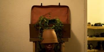 $5,000 Indie Film Challenge: Compelling Movie on a Budget - Cover Image