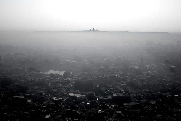 A wide shot of a desolate, polluted cityscape, shrouded in smog. In the foreground, a solitary figure stands silhouetted against the grim backdrop. The image conveys a sense of hopelessness and ecological dread.