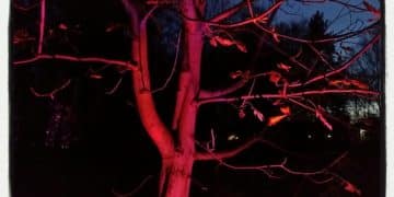 Indie Horror's New Wave: 7 Fearless Directors to Watch in 2025 - Cover Image