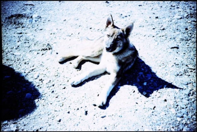 A distorted and unsettling image from 