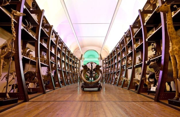 A dimly lit storage room in a museum, filled with crates and covered artworks. One crate is partially open, revealing a corner of a painting, hinting at the possibility of rediscovering a valuable piece.