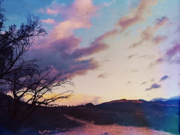 Unveiling Forgotten Masterpieces: The Art and Legacy of