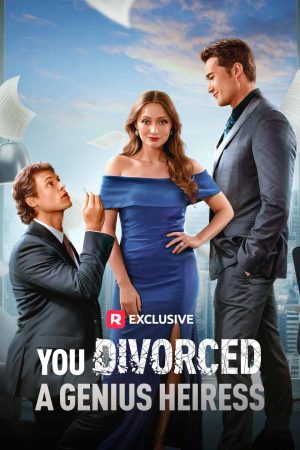 You Divorced a Genius Heiress